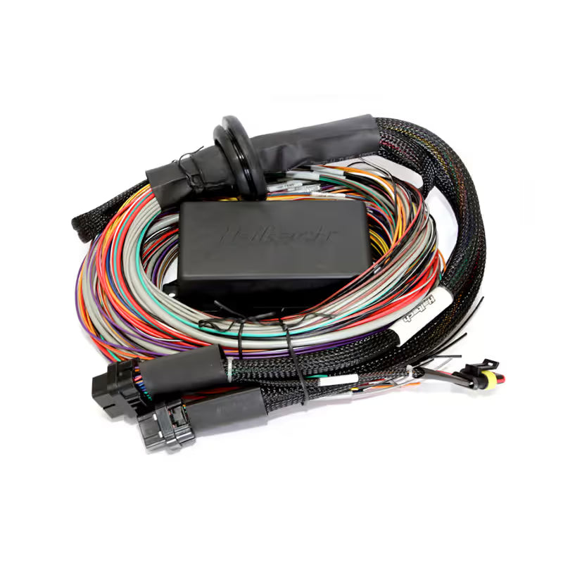 Elite 2500 + Premium Universal Wire-in Harness Kit Length: 2.5m (8')
